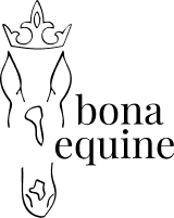 bona equine