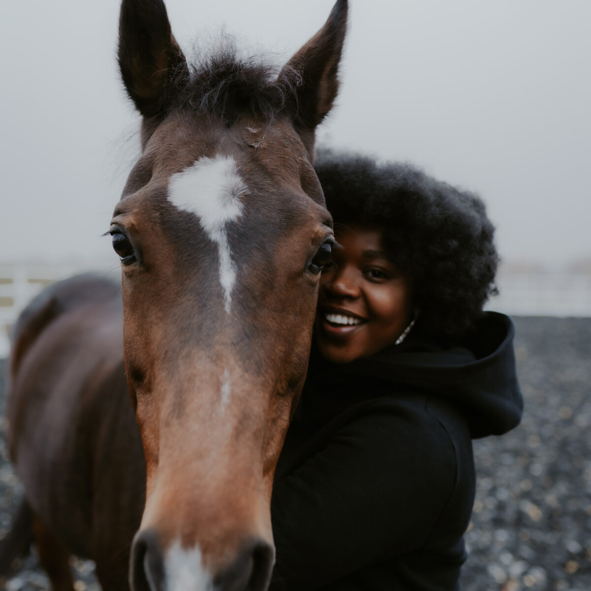 WARM OUT equestrian sweatshirt - Women
